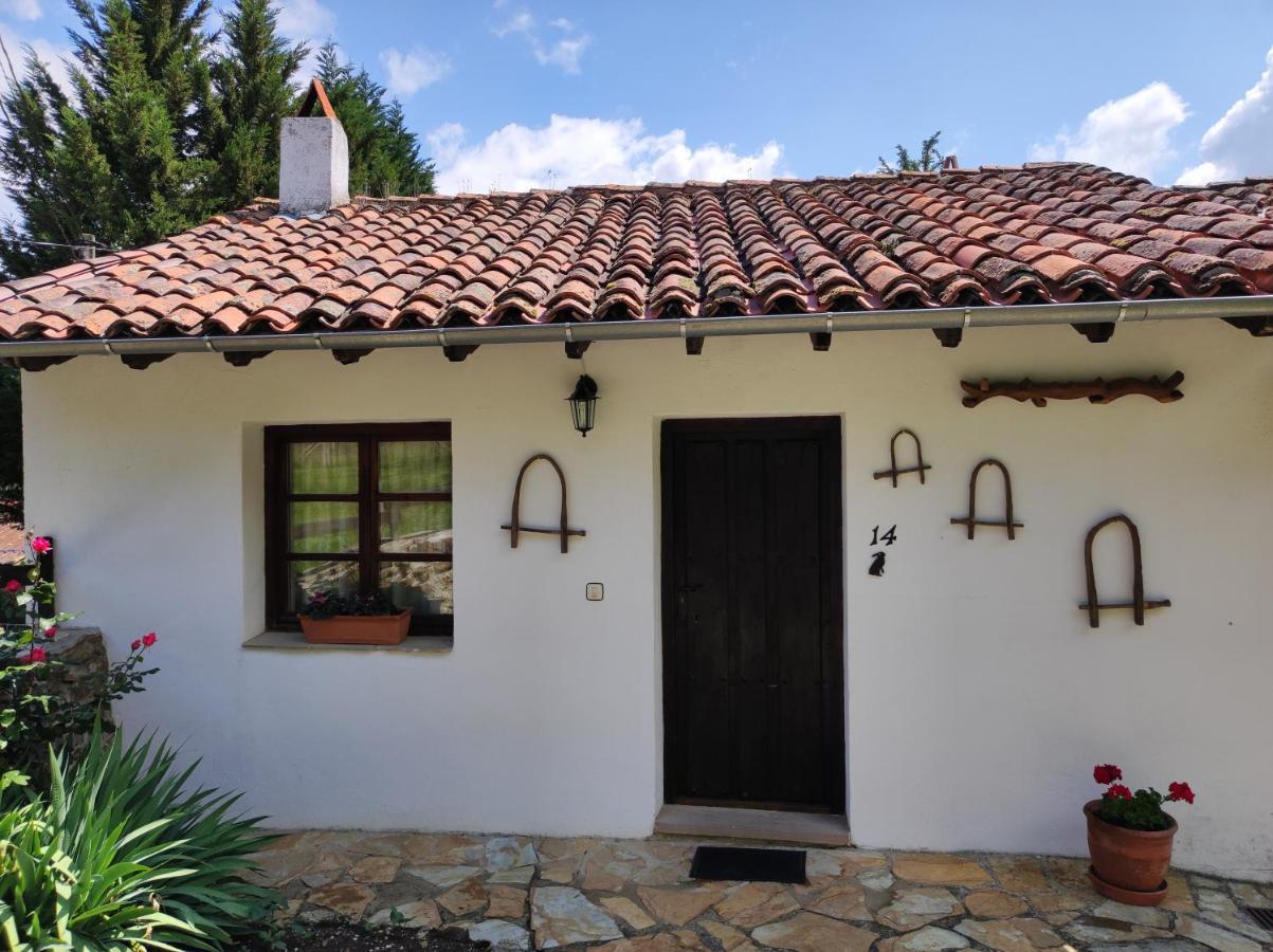 Viviendas Rurales El Covaju